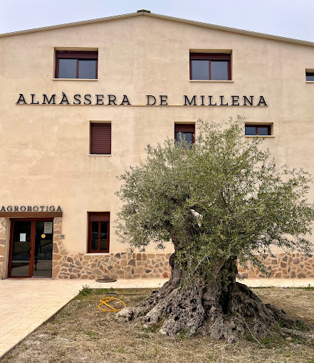 millena_almassera_exterior3.2